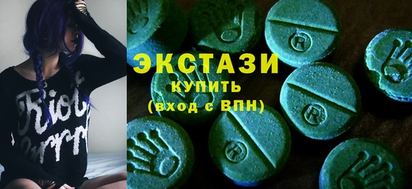 шишки Горняк
